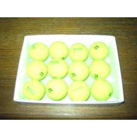 bridgestone 2 dozen BRAND NEW Bridgestone E12  golf balls Green Memorial Foundation Logo