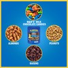 Planters Nuts & Chocolate M&M's (6 oz Bags, Pack of