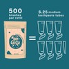 Ohgigi Organic Tooth Powder - Minty Brush, 40g Jar