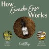 Earthley Wellness Earache Ease, Certified Organic Ingredients, Mullein Leaf and