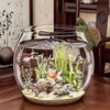 Turtle Plant Pot Hanger