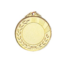 Eterspr Pack of 12 Gold Medals, Metal Medals, Metal Winner Award Medals, for Party Games Sports Competitions Awards Children's Birthday Party
