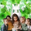 Recosis Birthday Decorations, Green Party Decorations for Birthday Banner Curtains