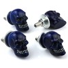 Bashineng Skull License Plate Screw 4 Pack Universal Cars Truck