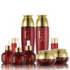 Yedam Yunbit Red Ginseng Jinyul Women’s Skin Care 7 Piece Set, 1 Set / 예담윤빛 홍삼 진율 여성 스킨케어 7종 세트, 1세트