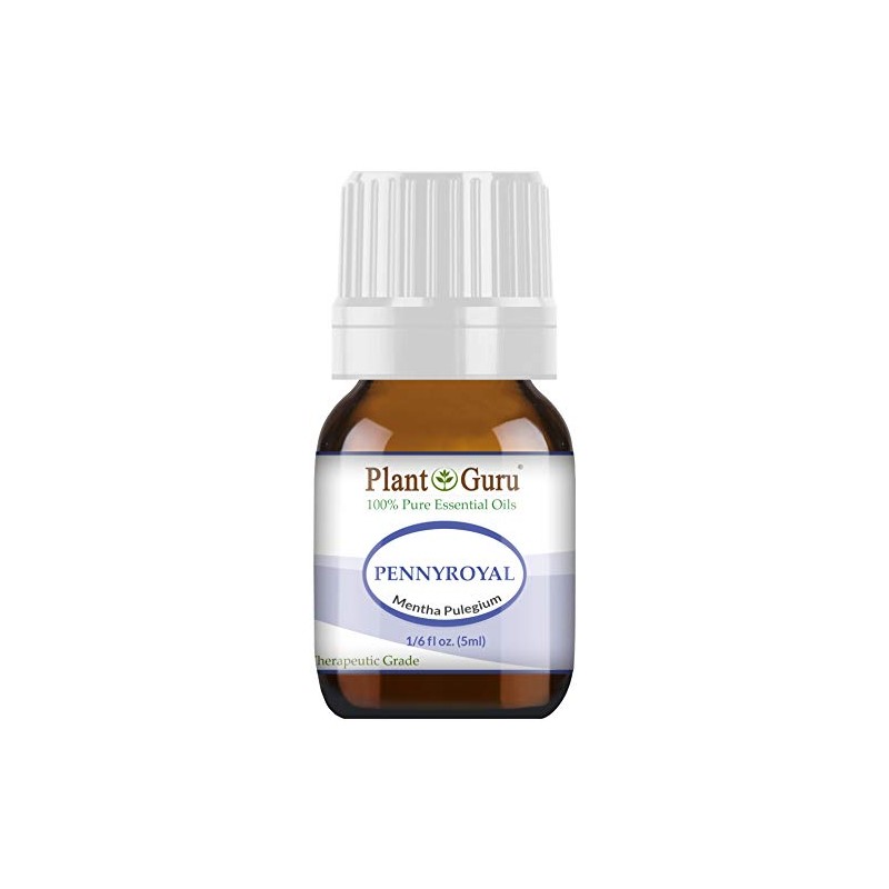 Pennyroyal Essential Oil 5 ml 100% Pure Undiluted Therapeutic Grade.