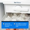 Essential Values Ice Machine Cleaner and Descaler 16 fl oz