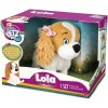 IMC 2023 Club Petz Lola The Puppy -Responds to 5