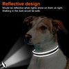 Joytale Dog Collar, Reflective Padded Neoprene Pet Collar, Adjustable Nylon