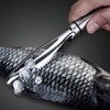 DBAILY Fish Scaler Stainless Steel 3 Pieces Professional Fish Scale