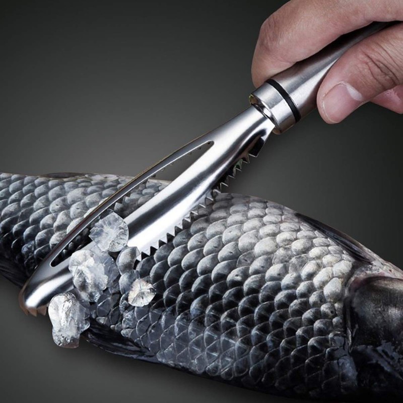 DBAILY Fish Scaler Stainless Steel 3 Pieces Professional Fish Scale