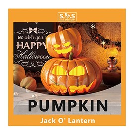 4 Varieties Pack Pumpkin Seeds - Jack O' Lantern Pumpkin, Porcelain Pink Pumpkin, Big Max Pumpkin, Jack Be Little for Your Vegetable Garden (Jack O' Lantern Pumpkin)