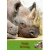 Rhino Birthday Card