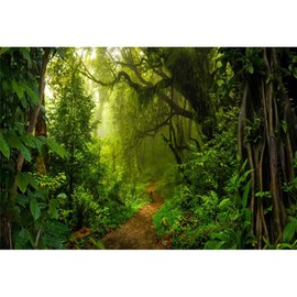 Xiaoterna 5x3ft Tropical Jungle Forest Backdrop Fairytale Woods Sunlight Photography Background Spring Enchanted Forest Backdrop Birthday Party Decor Kids Portrait Shooting Studio Props