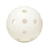 Fat Pipe Floorball Unihockey Ball Team Set of 24 Fat