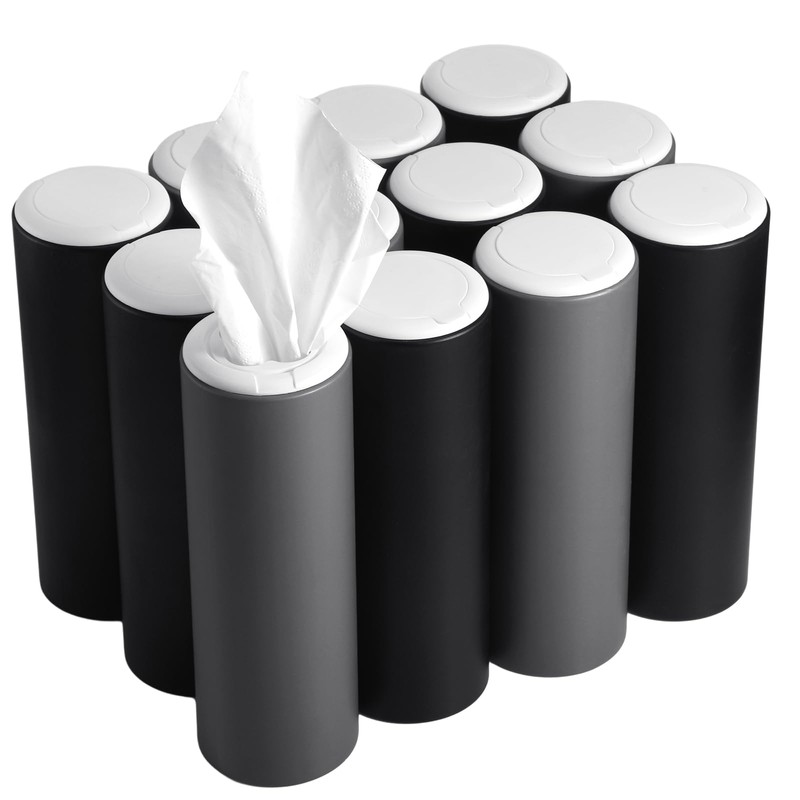 Mifoci 12 Pack Car Tissue Holder with 3 Ply Facial