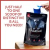 Elevate Your laundry with Distinctive/Powder Laundry Detergent/Biological Washing Powder/Masculine Opulence