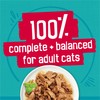 Purina Friskies Wet Cat Food Variety Pack, Tasty Treasures Prime