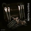 Makeup Brush Set 12 Pcs Professional Makeup Tool Set Premium