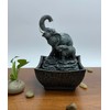 Nature's Mark 7.5" Playing Elephant & Baby Elephant Tabletop Water