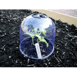 12-Pack! GrowAway™ Small Reusable Plastic Mini Greenhouse, Garden Cloche Dome, Plant Covers Frost Guard Freeze Protection for Plants Outdoors, Garden Tools, Garden Accessories - 7.87"Diam. x 6.69"H