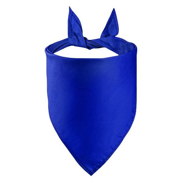 Petitebelle Single Color Pet Bandana (Royal Blue, Large)