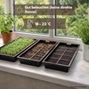 Samenshop24® Organic Cultivation Set (The Original)
