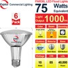 Explux Commercial-Grade LED PAR30 Flood Light Bulb, 75W Equivalent, 40000