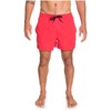 Quiksilver Men's Everyday 38.1-cm Board Shorts