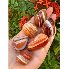 1/4 Pound Red Banded Agate Tumbled Stones, Polished Red Banded Agate Rock, Genuine Red Banded Agate Stone Bulk Lot