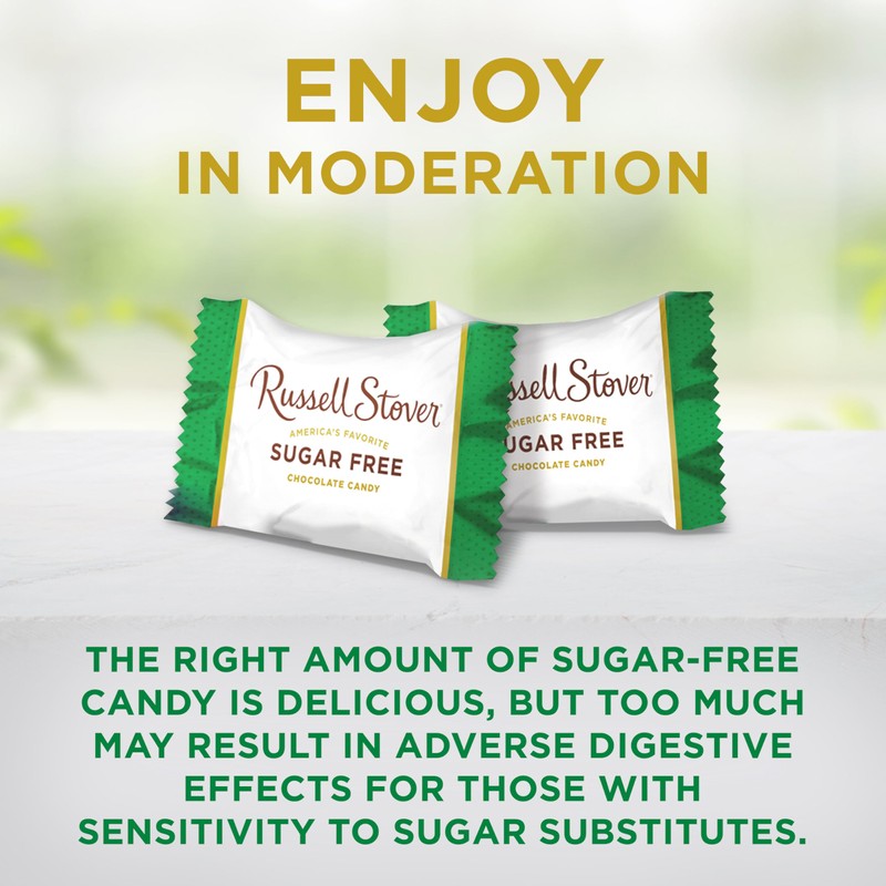 RUSSELL STOVER Sugar Free Assorted Chocolate Candy with Nuts, 15.5