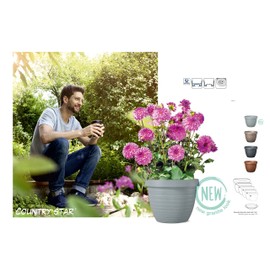 Scheurich Country Star Planter