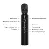 Bluetooth Karaoke Mic Dual 5W Speakers Clear Sound 2000mAh Battery
