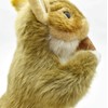 Hansa Brown Squirell with Nut Plush, 9"