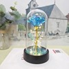 Eternal Rose Gift for Her – Acrylic Rose Display with