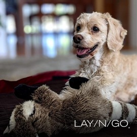 Lay-n-Go Travel Dog Bed (44") - Color: Burgundy Chocolate