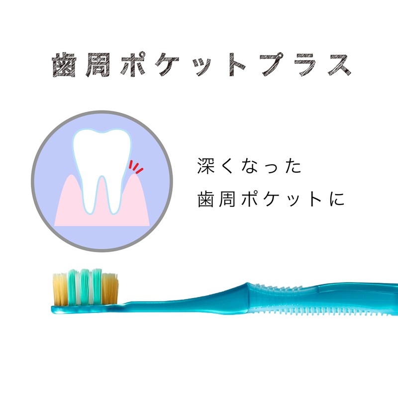 Ebisu The Premium Care Periodontal Pocket Plus, Normal, Set of