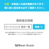 ビートソニック トヨタ純正オーディオ延長ケーブル BH7 : 10ピン+6ピン 30cm