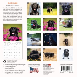 RED EMBER Black Labs 2025 Wall Calendar 12 Month | 12" x 24" Open | Thick & Sturdy Paper | Giftable | Calendar 2025