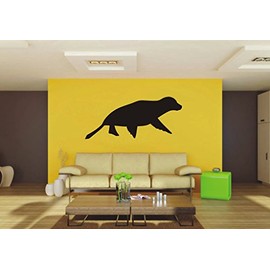 Picniva Seal sty5 Removable Vinyl Wall Decal Home Dicor