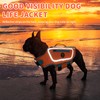 Sheripet Dog Life Jacket for Small Dogs with High Buoyancy,