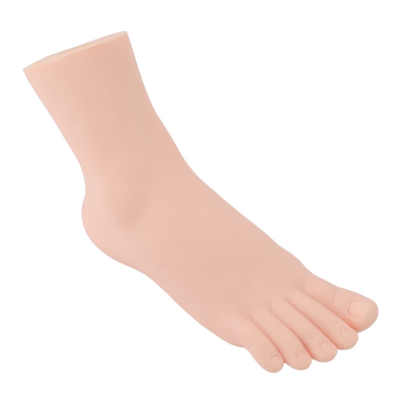 Female Right Foot Mannequin Simulated Feet Model Realistic Foot Model