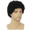 Salaibs Afro Black Wigs for Men 80s Short Curly Elf