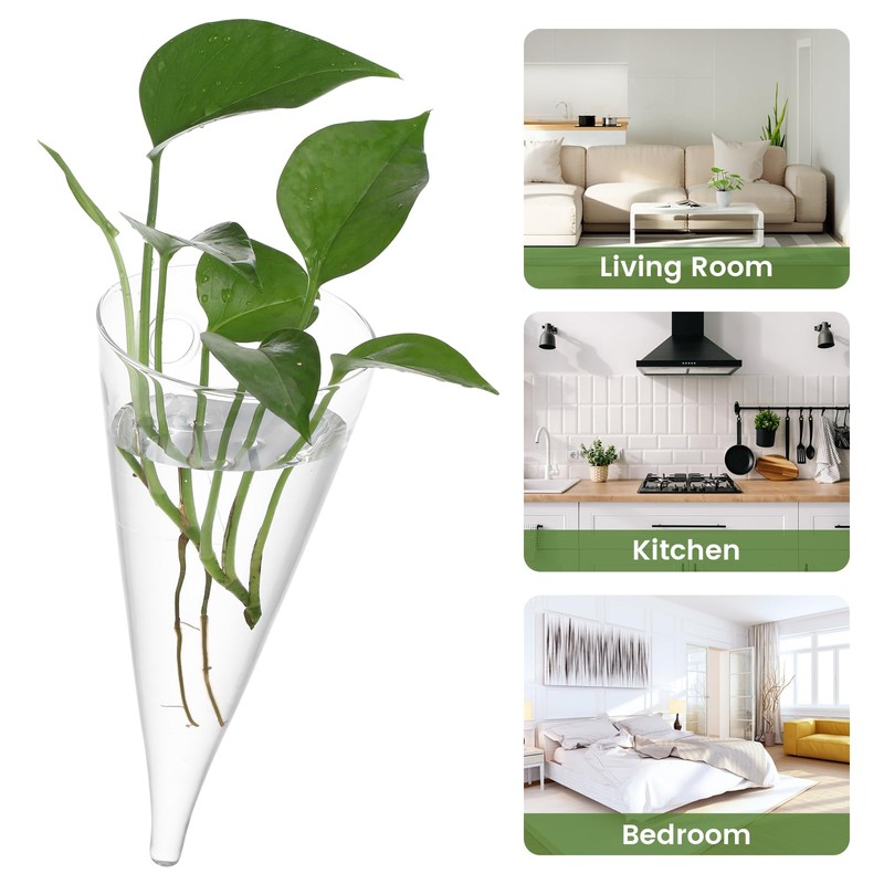 YARNOW 2pcs Clear Circular Cone Glass Wall Hanging Vase, 3.5