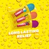 Carmex Minis Scented Lip Balms for Soft, Protected Lips with