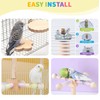 VOXGET Bird Stand Perch Toy Set for Cage, Parrot 360°