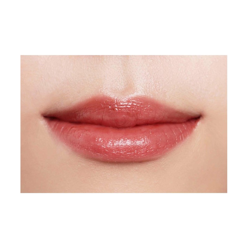 Celvoke Araous Lips 05 Brick Brown Refill Lip Trip Balm