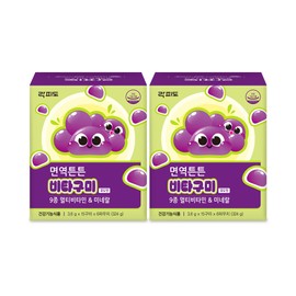 Rockfido Immune Strength Vita Gummies / 9 Types of Multivitamins & Minerals 90 Gummies, 2 Pieces / 락피도 면역튼튼 비타구미 /9종 멀티비타민&미네랄 90구미, 2개