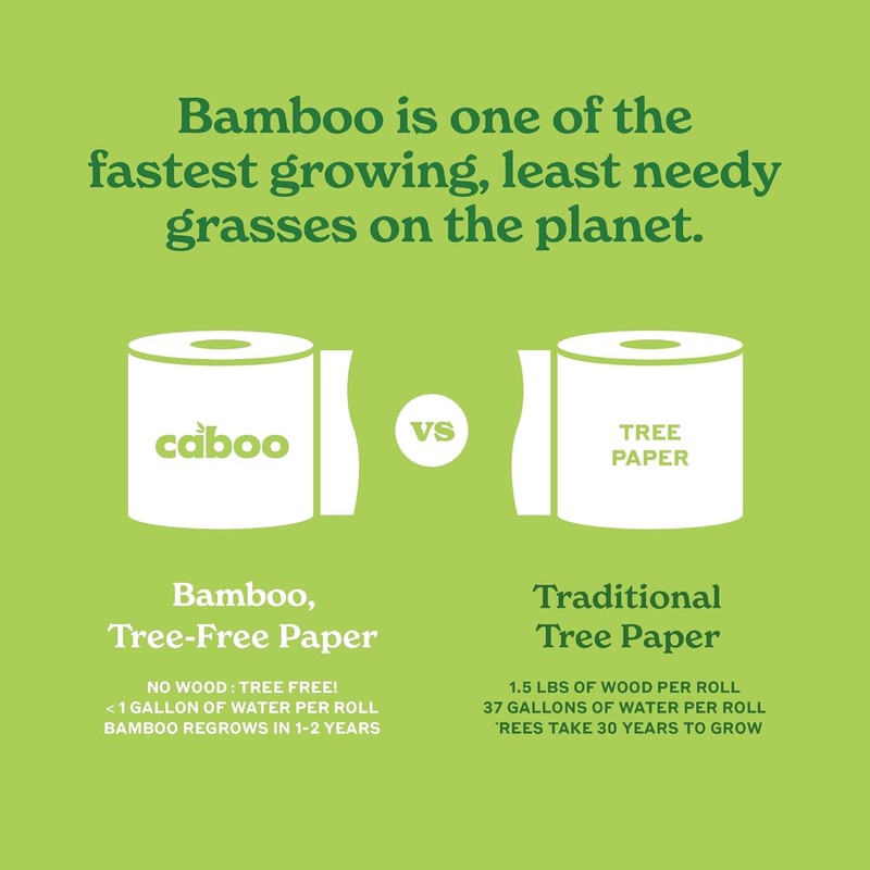 Caboo Tree Free Facial Tissue Paper, Tissue Box with 60