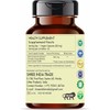AYURVEDASHREE Senna Extract 500mg - 60 Vegetarian Capsules | Cassia